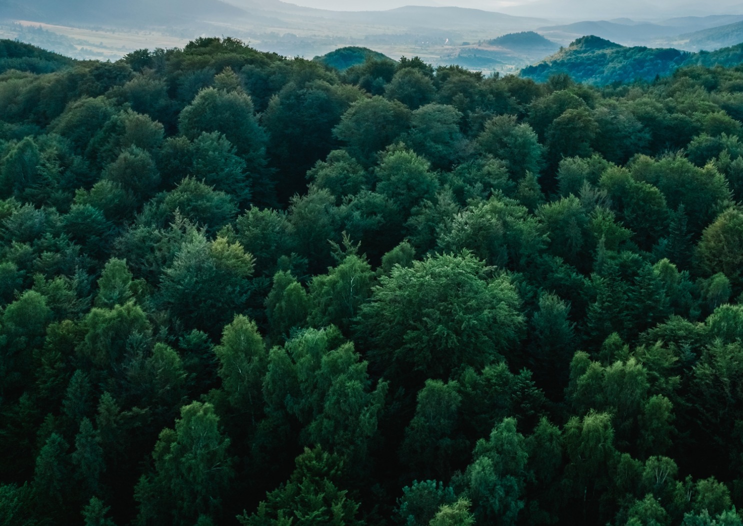 climateers - Frame 22